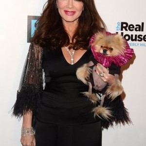 Lisa Vanderpump at arrivals for THE REAL HOUSEWIVES OF BEVERLY HILLS Season 7 Premiere Party, Sofitel Los Angeles at Beverly Hills, Beverly Hills, CA December 2, 2016. Photo By: Priscilla Grant/Everett Collection