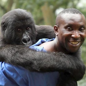 Virunga (2014) photo 20