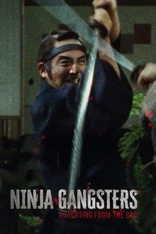 Ninja Gangsters: Extorting From the Bad! | Rotten Tomatoes