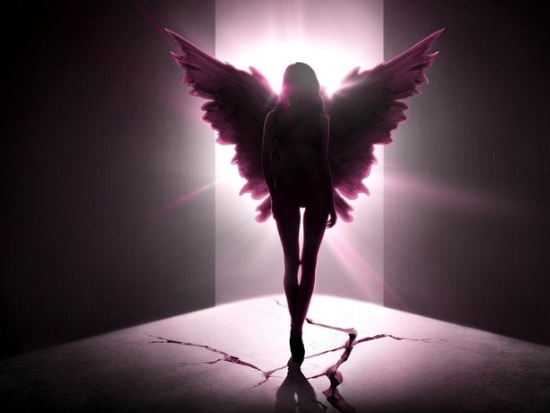 Victoria's Secret: Angels and Demons Pictures | Rotten Tomatoes