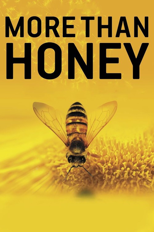 More Than Honey poster