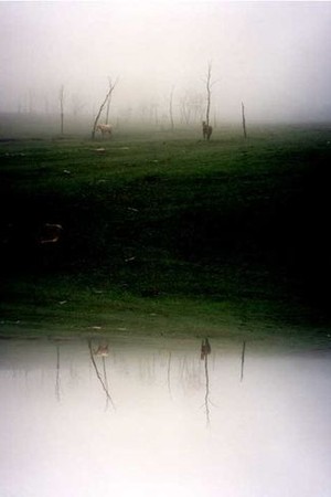 The 3 Rooms of Melancholia poster