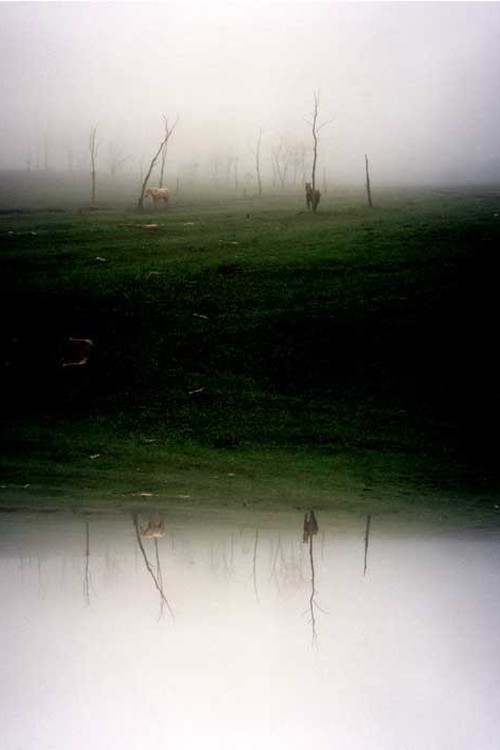 The 3 Rooms of Melancholia poster