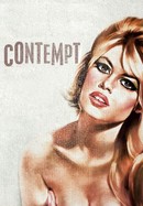 Contempt poster image