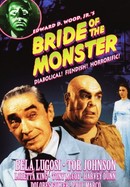 Bride of the Monster poster image