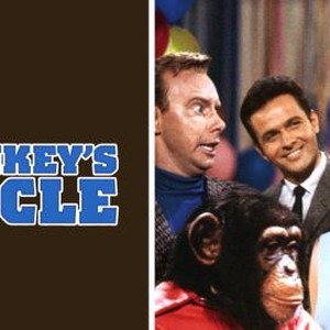 The Monkey's Uncle photo 12