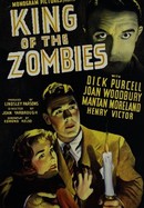 King of the Zombies poster image