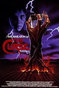 The Curse - Rotten Tomatoes