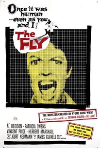 Watch trailer for The Fly