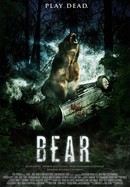 Bear poster image