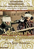 Shadows of Forgotten Ancestors poster image