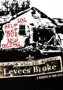When the Levees Broke: A Requiem in Four Acts poster image