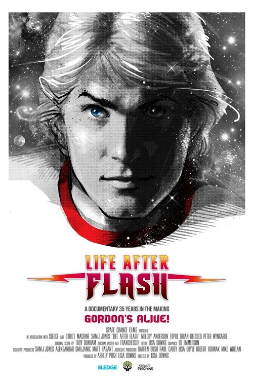 Life After Flash poster