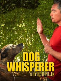 その他 Dog Whisperer With Cesar Millan: Season 5 / [DVD] [Import] Amazon.com: Dog Whisperer with Cesar Millan: Season 5