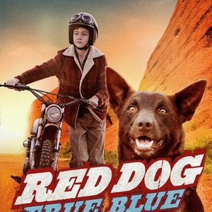 Red Dog: True Blue - Rotten Tomatoes