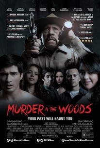 Murder in the Woods poster