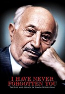 I Have Never Forgotten You: The Life & Legacy of Simon Wiesenthal poster image