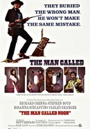 The Man Called Noon poster image