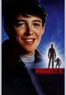 Project X poster image