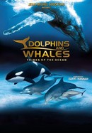 Dolphins and Whales: Tribes of the Ocean poster image
