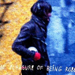 The Pleasure of Being Robbed photo 17