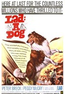 Lad: A Dog poster image