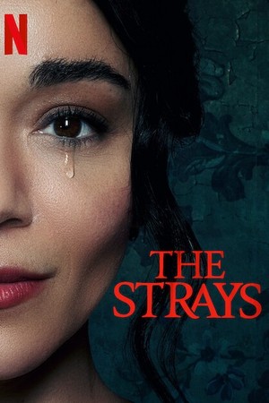 The Strays poster