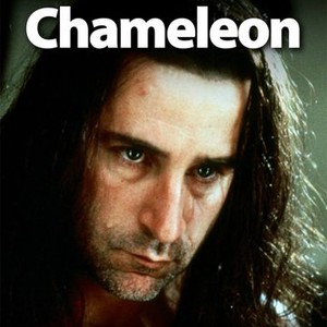 Chameleon photo 6
