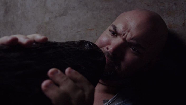 Sewer Gators | Rotten Tomatoes