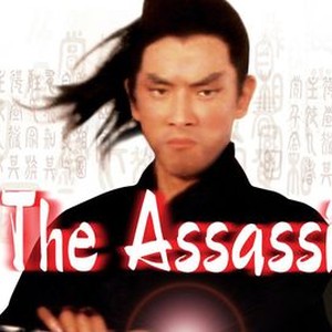The Assassin photo 8