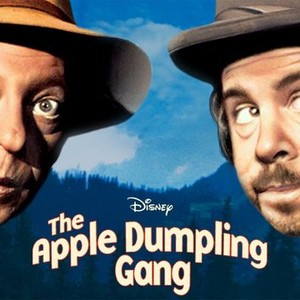 The Apple Dumpling Gang photo 11