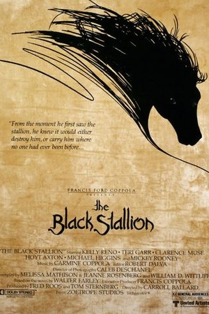 The Black Stallion poster