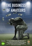 The Business of Amateurs poster image