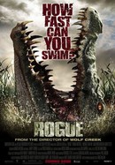 Rogue poster image