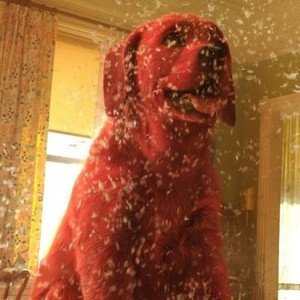 Clifford the Big Red Dog (2021) - IMDb