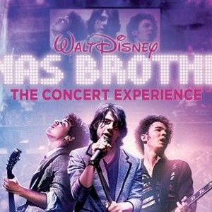 Jonas Brothers: The Concert Experience photo 8