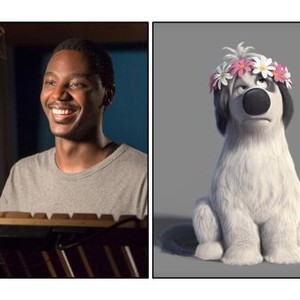 FERDINAND, JERROD CARMICHAEL (VOICE OF PACO), 2017. PH: BRIAN GORDON. TM AND COPYRIGHT ©20TH CENTURY FOX FILM CORP. ALL RIGHTS RESERVED