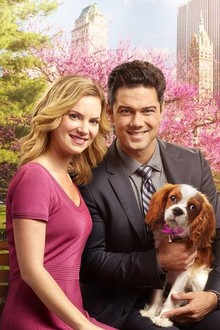Marrying mr darcy full movie free sale