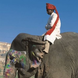 India: Kingdom of the Tiger (2002) photo 4