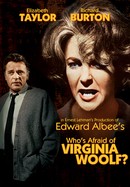 Who's Afraid of Virginia Woolf? poster image