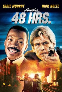 Another 48 HRS. poster