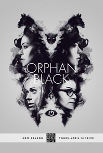 Orphan Black: Season 4 poster image