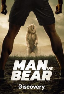 The Bear - Rotten Tomatoes