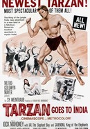 Tarzan Goes to India poster image