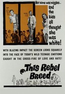 This Rebel Breed poster image