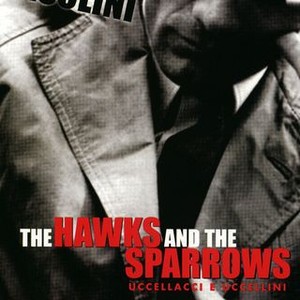 The Hawks and the Sparrows (1966) photo 13