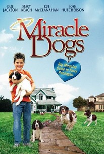 Watch trailer for Miracle Dogs