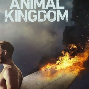 Animal Kingdom - Rotten Tomatoes