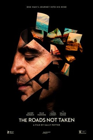 The Roads Not Taken poster