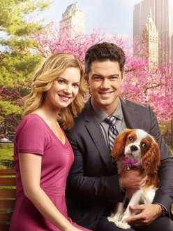 Marrying mr darcy hallmark full movie online free hotsell